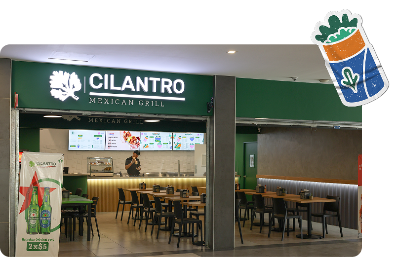 Cilantro plaza malta